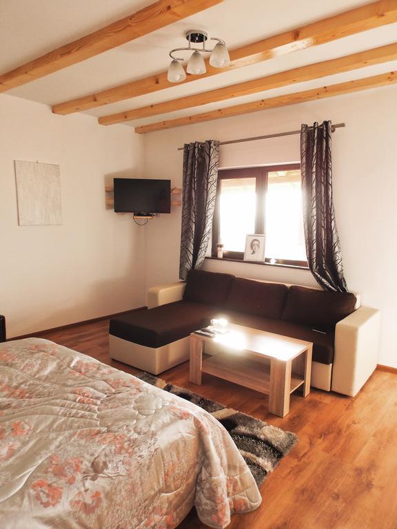Vila Sofia Haţeg Exterior foto
